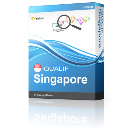 IQUALIF Singapūra Dzeltens, profesionāļi, bizness, mazais uzņēmums