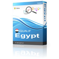IQUALIF 埃及 黄色，专业人士，商业，小型企业